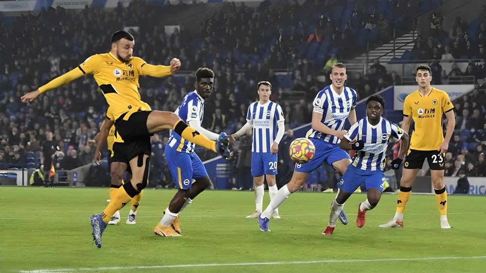 brighton vs wolves 
