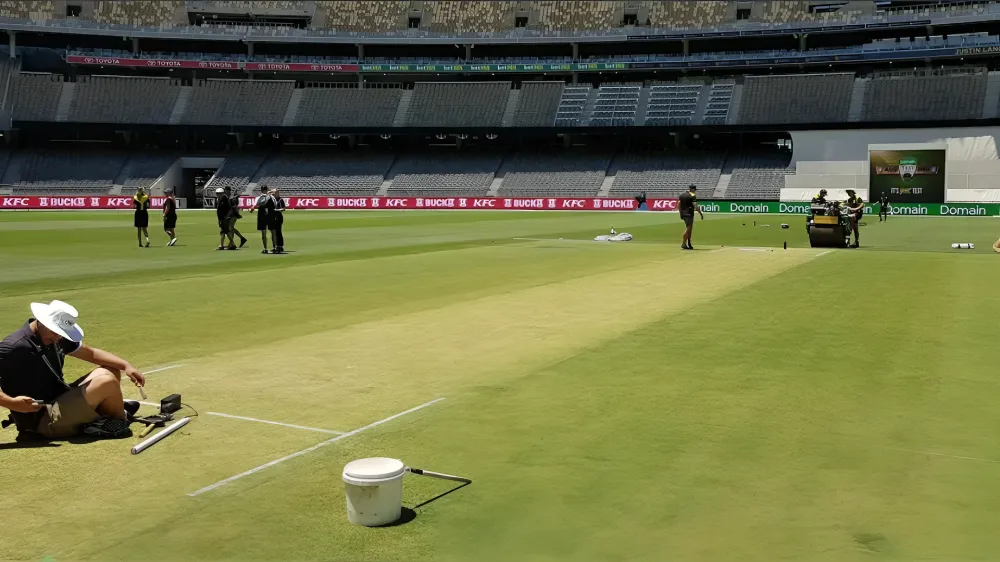 wankhede stadium pitch report in hindi