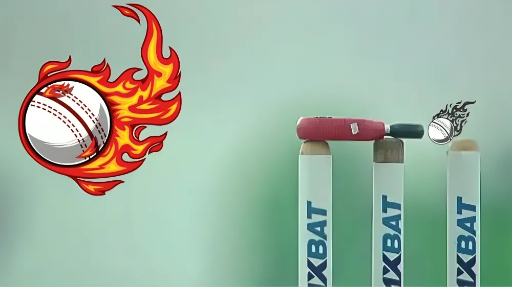 suspended meaning in cricket