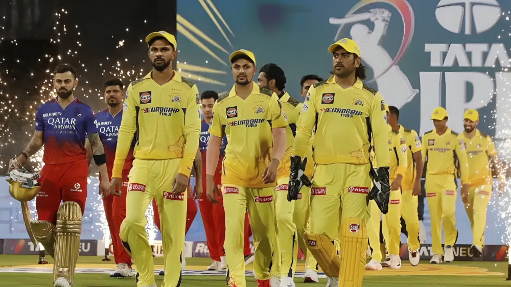 which ipl team has most fans