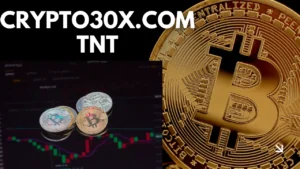 Crypto30x.com TNT: Your Gateway to Understanding and Engaging with the Platform
