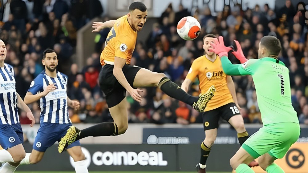 brighton vs wolves